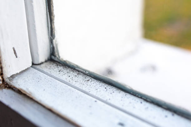 Best Real Estate Mold Inspection  in Laughlin, NV