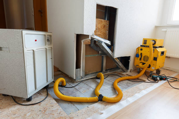 Reliable Laughlin, NV Mold Removal Solutions